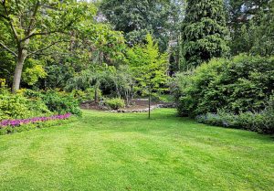 Optimiser l'expérience du jardin à Betz-le-Chateau
